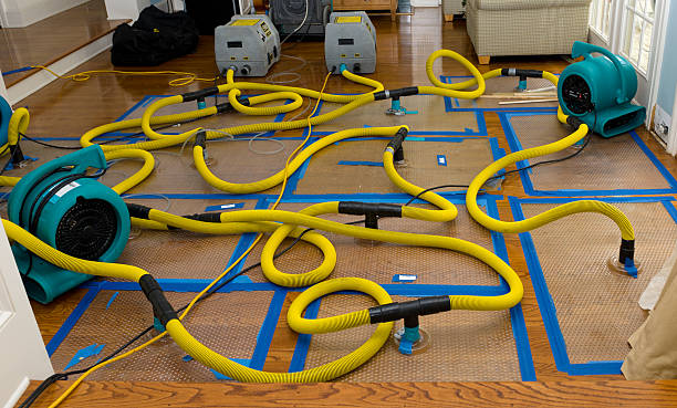 Professional Storm Water Damage Restoration technician working in Parrottsville, TN